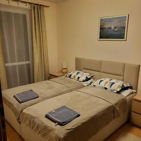 Amber ミエンジボジェ