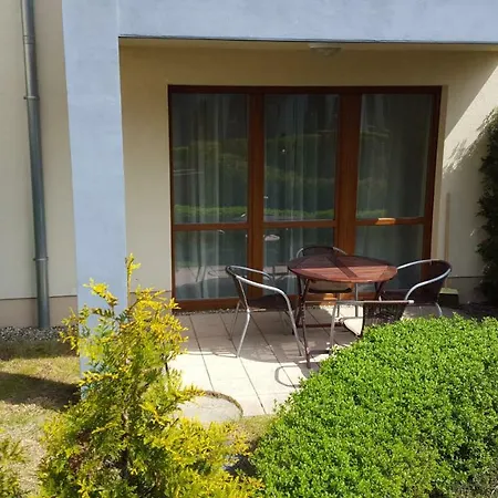 Amber * מידז'יוודז'י