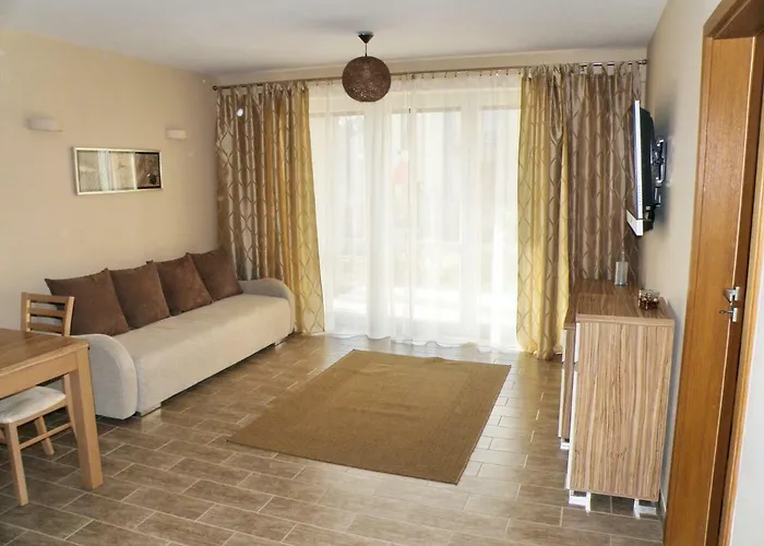 Amber * ミエンジボジェ